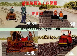 钢塑网与土工格栅 广东东莞矿用产品与河南安阳正泰龙应用解析